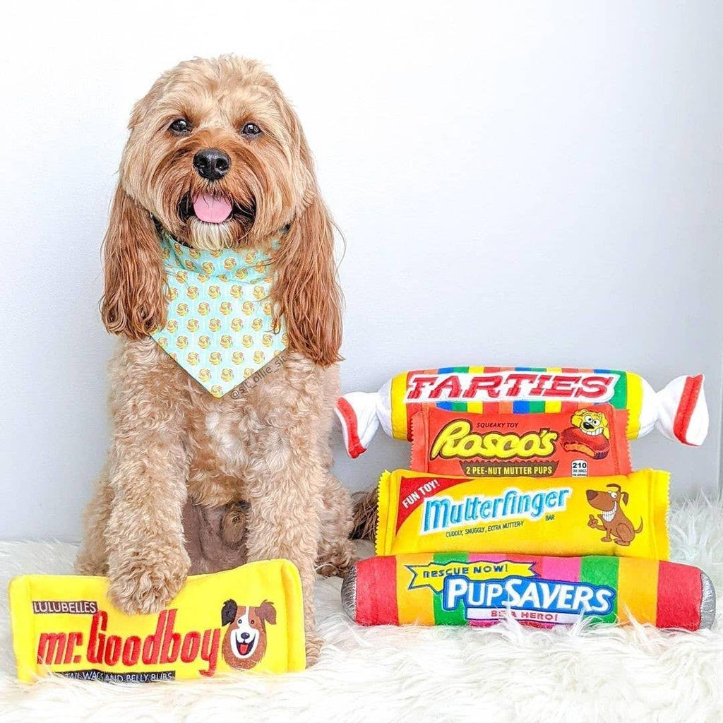 Mr. Goodboy Dog Toy (Stuffless)