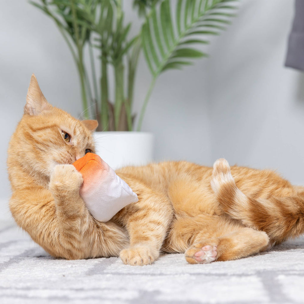 Go Fish Phishy Cat Toy