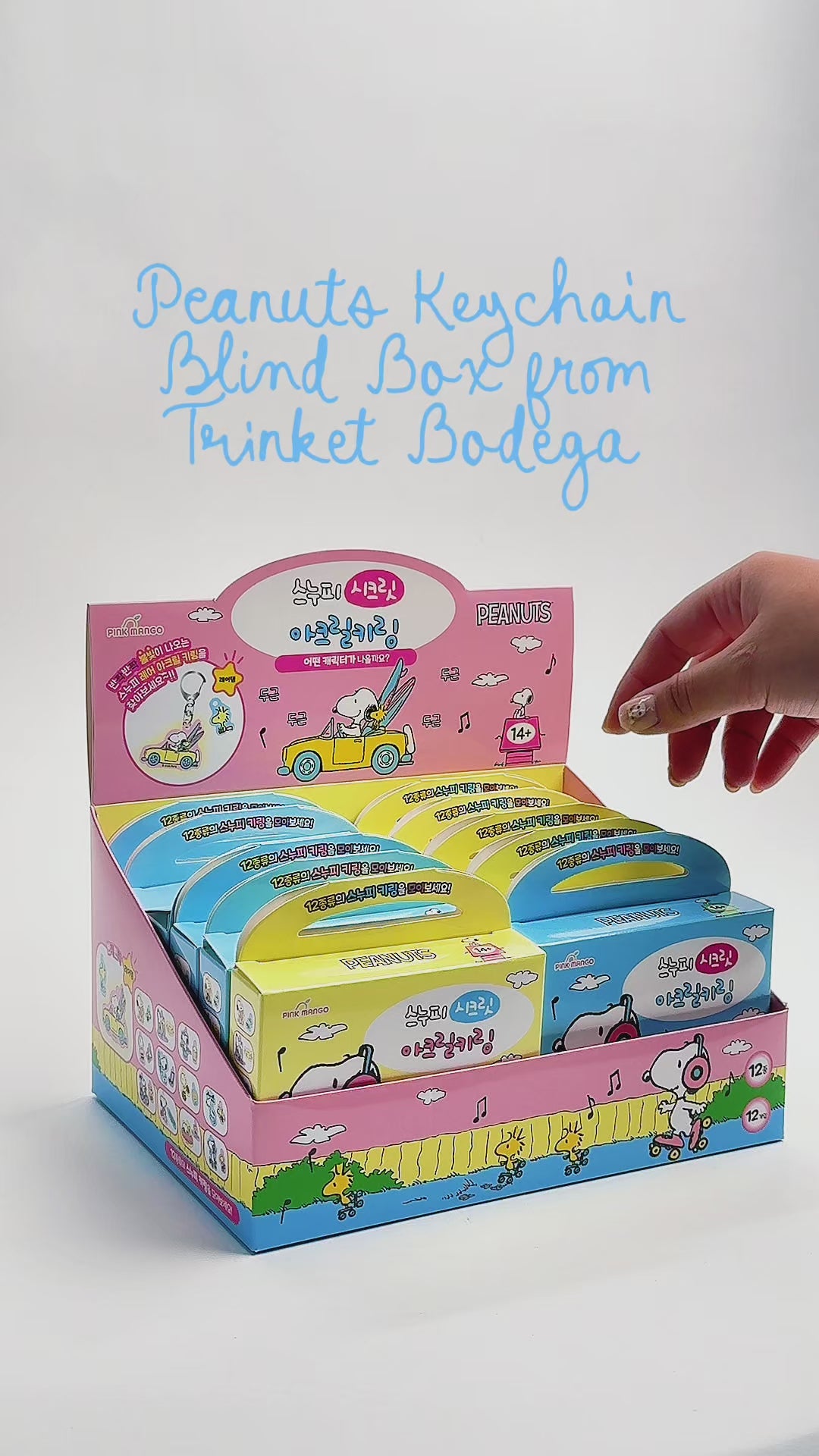 Blind Box Snoopy and Peanuts Keychain